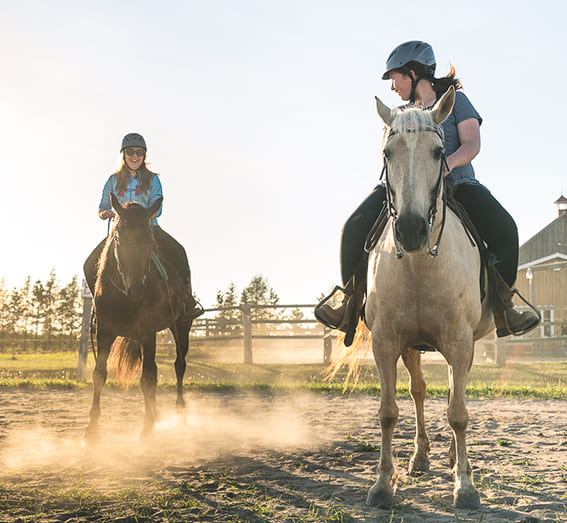Cours d’équitation western